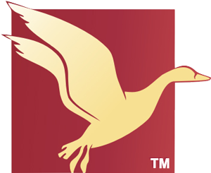 logos_zg.png
