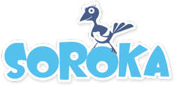 logo (2).png